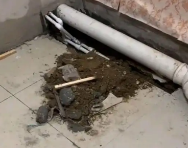 隆林卫生间漏水检测哪家好